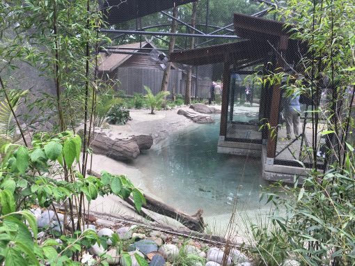 Penguin Cove, Little Penguin Conservation Center